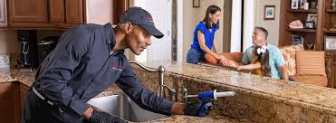 Best Residential Pest Control  in Lakeview, WA